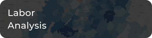 Labor Analysis- Business Intelligence - Mohr Partners